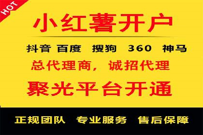 百度竞价广告的成功之路：企业运营案例集